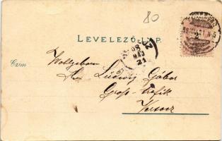 1898 Temesvár, Timisoara; Józsefvárosi zárda, kadétiskola, Corvina könyvnyomda, színház, bíróság. Po...