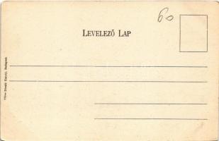 Temesvár, Timisoara; Hunyadi híd. Divald Károly 776. sz. / bridge. Art Nouveau (EK)