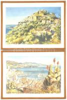 2 db Monacot ábrázoló, akvarellek után készült nyomat, üvegezett keretben, 24x35 cm, keret belső méret: 28×38 cm