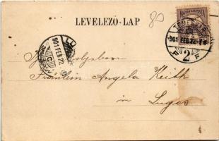 1901 Temesvár, Timisoara; Gyárváros, Fő utca, üzletek. Lichtdr. u. Verlag Louis Koch / Fabrik, Haupt...