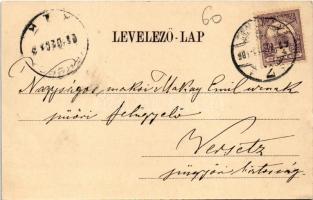 1901 Temesvár, Timisoara; Erzsébet utca, Cs. és kir. katonai kórház, zsinagóga, üzlet, kerékpár. Krá...