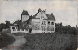 Temesvár, Timisoara; Szana villa / villa (EK)