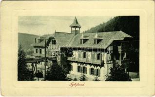 Iglófüred, Bad Zipser Neudorf, Spisská Nová Ves Kupele, Novovesské Kúpele; Millenium nyaraló szálló. W. L. Bp. 2801. Ferencz D. kiadása / villa hotel (EB)