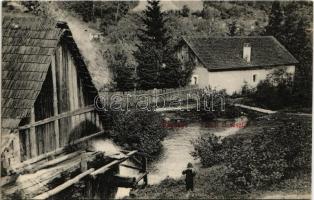 Rozsnyó, Roznava; Fürdői út, vízimalom. Kiadja Fuchs József / road to the spa, watermill (EK)