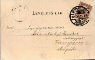 1900 Budapest III. Békásmegyer, Villa telep. Divald Károly 233. sz