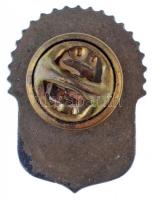 DN "A magyarok istenére esküszünk" a magyar címert és a turulmadarat ábrázoló műgyantás fé...