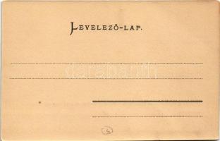 Budapest VIII. Új vásártér, most kert-sétatér (ma II. János Pál pápa tér). Ganz Antal 117