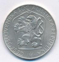 Csehszlovákia 1965. 25K Ag "Felszabadulás 20. évfordulója" T:1- 
Czechoslovakia 1965. 25 ...