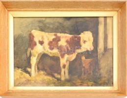 Edvi Illés Aladár (1858-1927): Boci. Akvarell, papír, jelzett, fa keretben, 12×15 cm