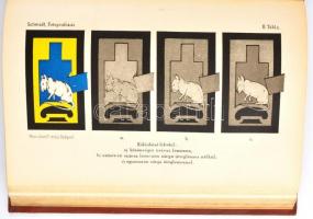 Fritz Schmidt: A gyakorlati fotografozás kézikönyve. Ford.: Pfeifer Ignác. Természettudományi Könyvk...