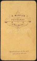 cca 1880 Családi portré, keményhátú fotó Wippler nagybecskereki műterméből, 10,5×6,5 cm