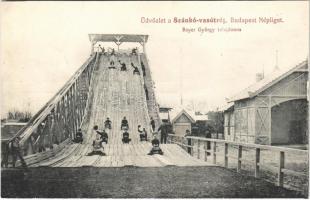 Budapest IX. Népliget, szánkó-vasút. Bayer György tulajdonos