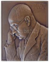 Róna József (1861-1939) ~1933. "Dr. Dános Árpád 1882-1933" egyoldalas Br plakett (99,43g/63x53mm) T:1- / Hungary ~1933. "Árpád Dános, Dr. 1882-1933" one-sided Br plaque (99,43g/63x53mm) C:AU
