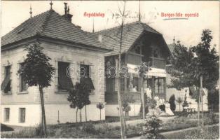 1910 Budapest XVI. Árpádföld, Árpád-telep; Burger féle nyaraló