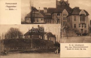 Nagyszeben midwifery school