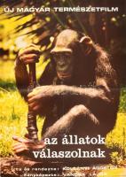 1979 Az állatok válaszolnak, film plakát, jelzett a nyomaton (Vancsa-Sárközy, Vancsa Lajos (1920-2008)), hajtásnyommal, 56x40 cm