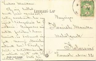 1910 Balatonaliga, Aliga (Balatonvilágos), Rauszek villa. Novák Jenő kiadása