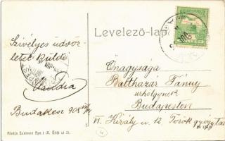 1908 Budakeszi, Fő út, lovaskocsi, gyógyszertár. Kiadja Szemere