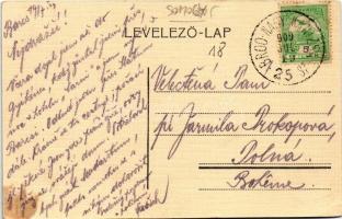 1909 Barcs, Dráva rakpart a vasútállomás mellett, gőzhajó + "BROD - NAGY-KANIZSA 25. SZ." ...