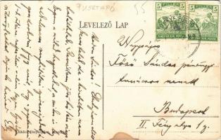 1917 Pusztaszenttamás, Szenttamás (Pusztapó, Kétpó, Törökszentmiklós); Ludvig nyaraló, hintó. Lukács...