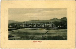 1911 Pásztó, látkép. W. L. Bp. 4662. Földes A. kiadása (EM)