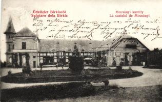 Birkis Mocsónyi castle