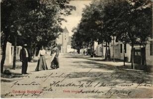1910 Berhida, Török templom, utca (r)