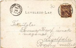 1900 Pilis, Fő tér, Templom és püspöklak, Schwartz Sámuel üzlete és saját kiadása (kopott sarkak / w...