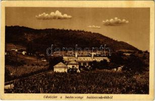 Badacsony, Badacsonyi Halászcsárda, étterem, szőlő (EK)