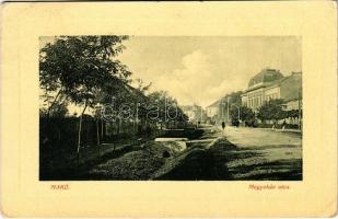 1910 Makó, Megyeház utca, Járásbíróság. W. L. Bp. 4112. (EB)