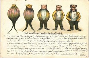 1900 Die Entwicklungs Geschichte einer Zwiebel / Jewish man transforming from an onion. Anti-Semitic mocking art postcard, Judaica litho