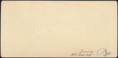 1875 Temesvár, pályaudvar, sztereófotó, 8,5×17,5 cm / Timisoara, railway station, stereo photo