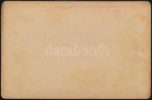 cca 1900 Budapest, nagykörúti részlet, keményhátú, feliratozott fotó Divald Károly műterméből, 11,5×...