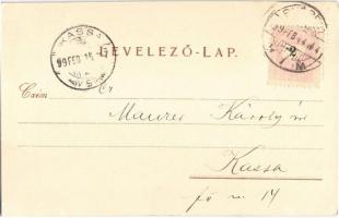 1899 (Vorläufer) Budapest VI. Rigler József Ede papírneműgyár rt. Rózsa utca 55. litho