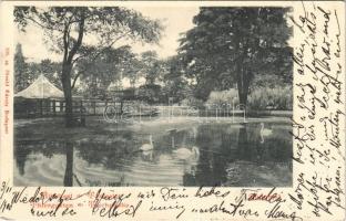 1900 Budapest XIV. Állatkert és tó. Divald Károly 398. sz.