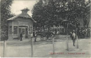 1912 Hévíz-fürdő, Ferencz József ház, Sorg Nagyszálloda várócsarnoka, lovaskocsik. Lang János kiadása