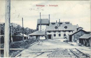 1912 Tatabánya, brikettgyár