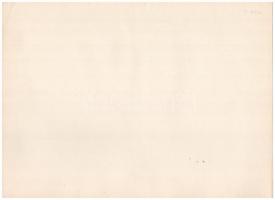 Budapest 1942. "Szlovák Gazdasági Bank Részvénytársaság" öt részvény egyben, részvényenkén...