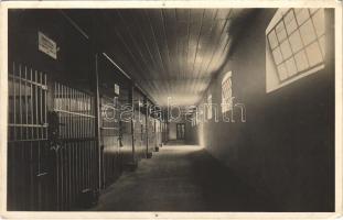 1938 Bábolna, M. kir. állami ménes, 1. sz. törzsmén istálló, Shagya XXV. Foto Waltner Berta (apró lyukak / small pinholes)