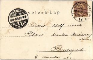 1901 Újverbász, Verbász, Novi Vrbas; zsilip a Ferenc-csatornán. Schröder kiadása / canal, flood gate...