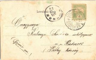 1903 Diósgyőr (Miskolc), várrom. Magyar zászlós szecessziós litho keret (EK)