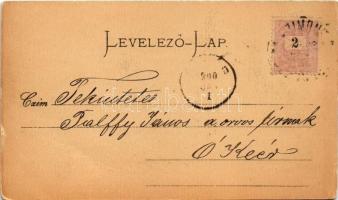 1900 Futak, Futtak, Futog; Hadik kastély / Schloss / castle (kis szakadás / small tear)