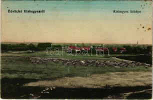 Kishegyes, Mali Idos; látkép / general view, cattle (fl)