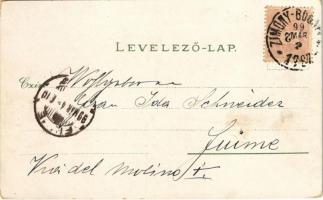 1899 Újvidék, Neusatz, Novi Sad; Városháza, Ferenc József tér, Római katolikus templom, Péterváradi ...