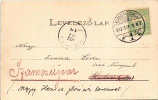 1903 Marosvásárhely, Targu Mures; Főtér, Gáspár ház, Bogolyan Bogdán, Dudutz János, Petelei Márton, ...