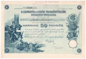 Csongrád 1929. "Csongrád és Vidéki Takarékpénztár Részvénytársaság" névre szóló részvénye 30P-ről, szelvényekkel, felülbélyegzéssel, szárazpecséttel T:I- / Hungary / Csongrád 1929. "Csongrád és Vidéki Takarékpénztár Részvénytársaság" share about 30 Pengő with shareholder's name, with coupons, overprint and embossed stamp C:AU