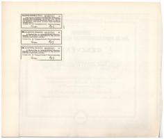 Budapest 1926. "Európai Áru- és Podgyászbiztosító Részvénytársaság" részvénye 100P-ről, sz...