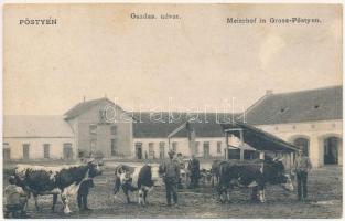 Pöstyén, Piestany; Gazdasági udvar, szeszgyár, szarvasmarhák / Meierhof / cattle, farmyard, distillery