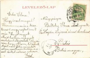 1907 Temesvár, Timisoara; Hunyadi kastély (jelenleg tüzérségi szertár). W.L. (?) 5.  / castle (artil...