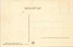 1906 Kassa, Kosice; Máramaros vármegye II. küldöttsége II. Rákóczi Ferenc és bujdosó társai temetésé...